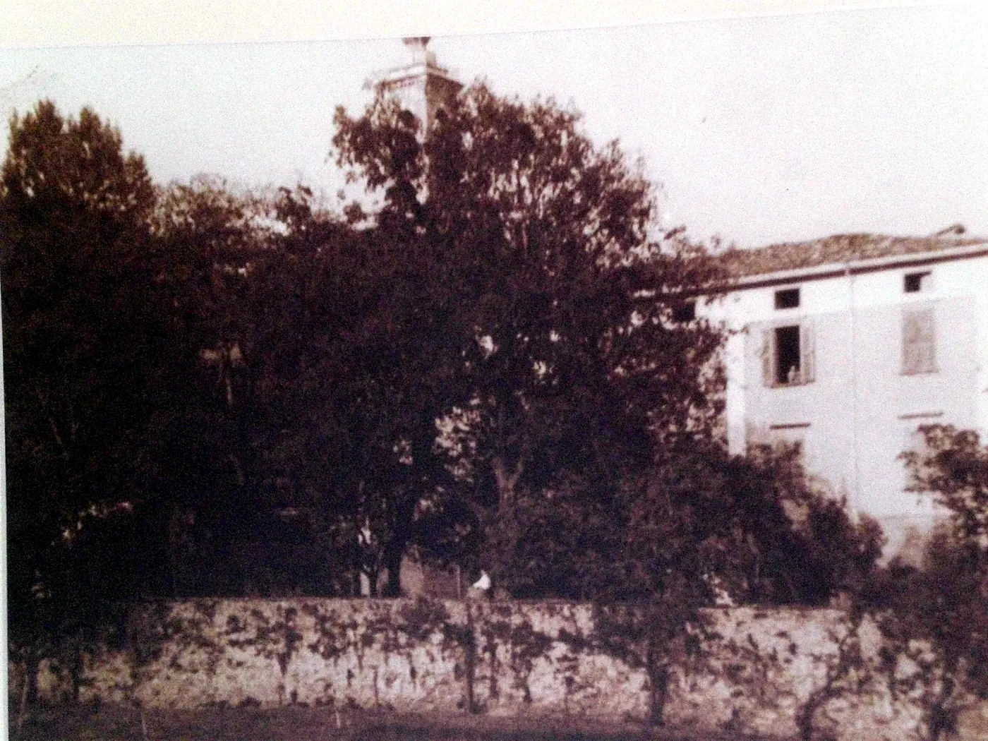 La dimora in una fotografia d'epoca, fra gli alberi